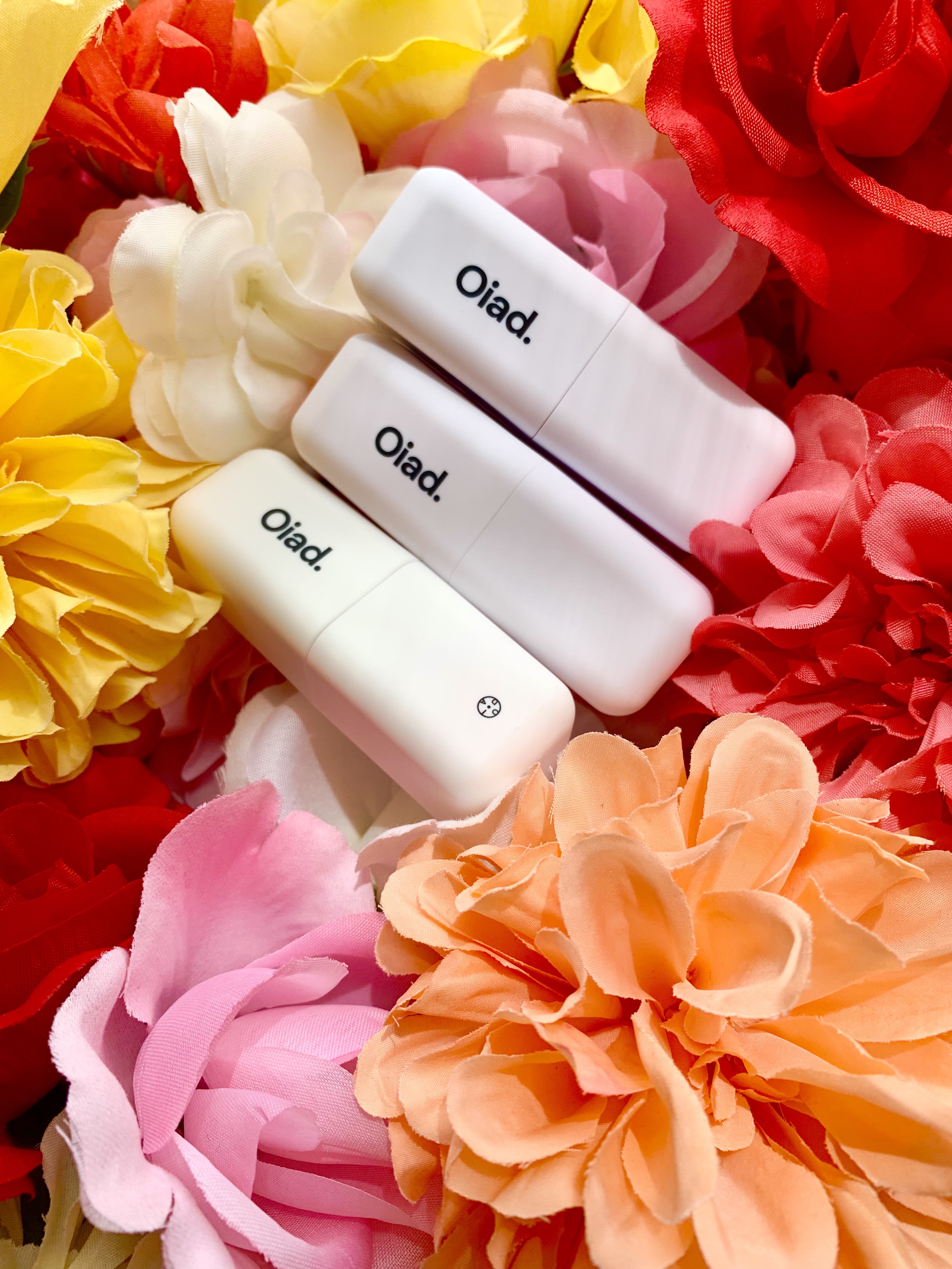 リップティーク 001 ラファー/oiad/口紅を使ったクチコミ（1枚目）