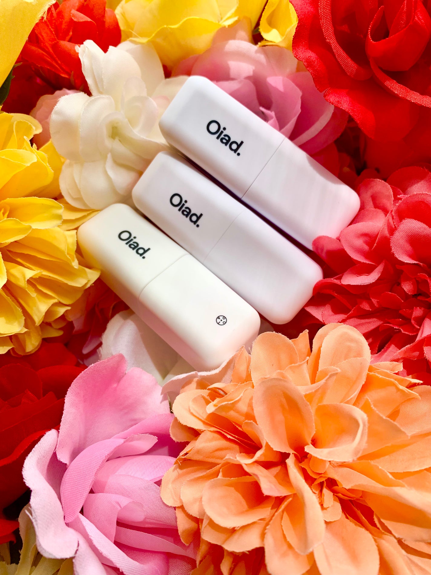 リップティーク/oiad/口紅を使ったクチコミ(1枚目)