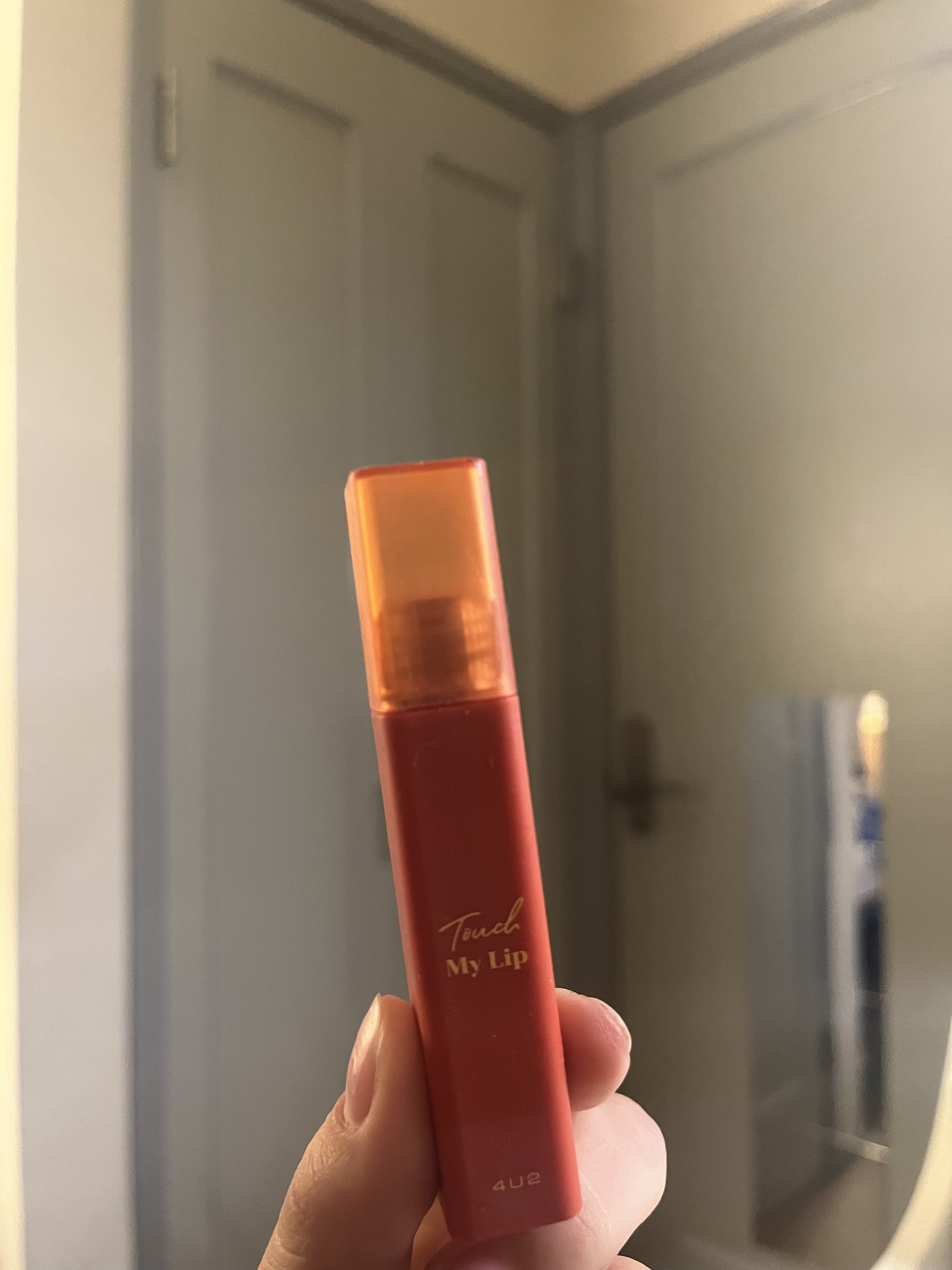 タッチマイリップ/4U2/口紅を使ったクチコミ（1枚目）