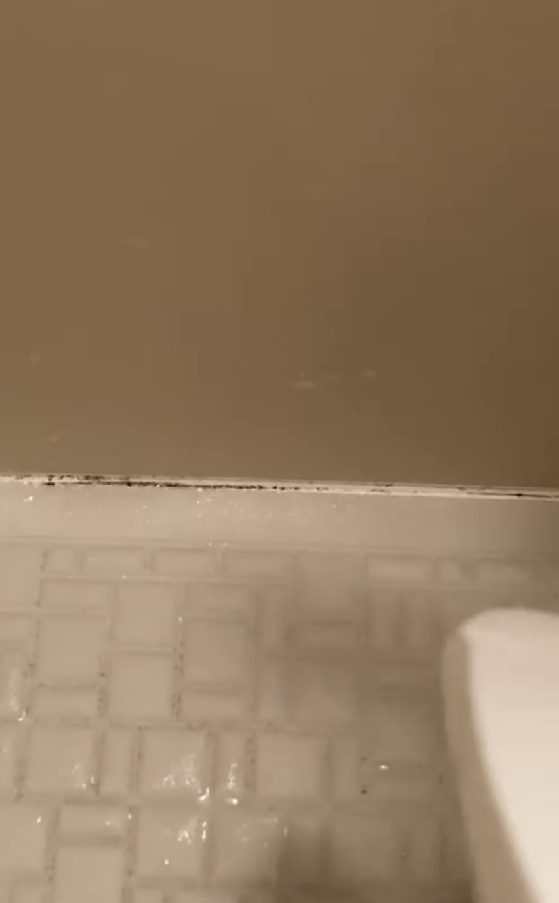 Mol clear Pro/ホコニコ/その他を使ったクチコミ（3枚目）