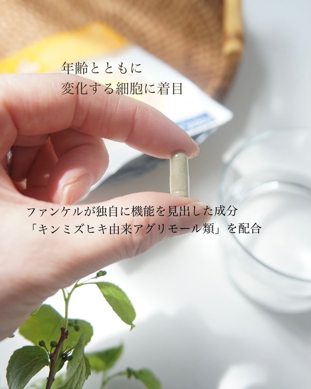 ウェルエイジ プレミアム【機能性表示食品】/ファンケル/健康サプリメントを使ったクチコミ（2枚目）