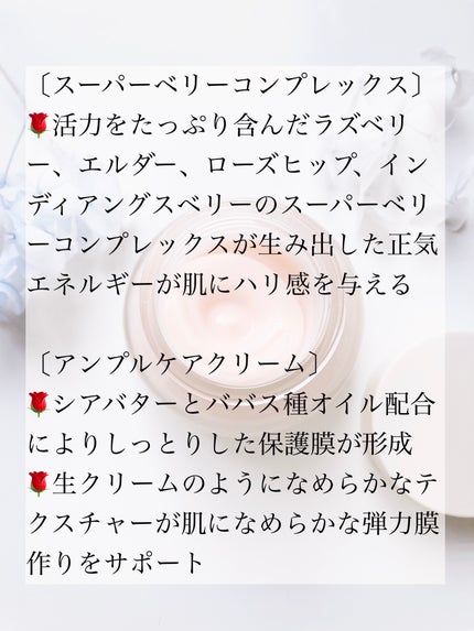 リバイビングローズインフュージョンクリーム /AROMATICA/フェイスクリームを使ったクチコミ(4枚目)