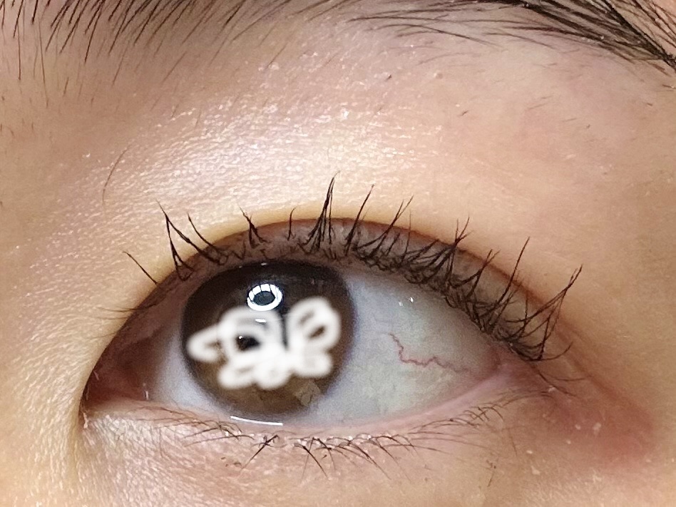 ウォンジョンヨ ヌードアイラッシュ 05 ディープブラック/Wonjungyo/マスカラを使ったクチコミ（1枚目）