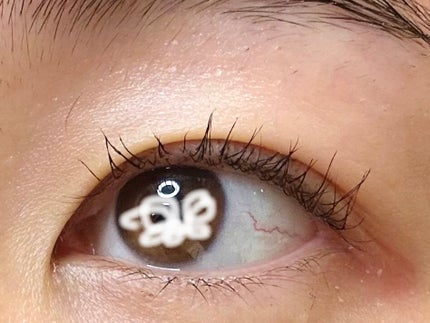 ウォンジョンヨ ヌードアイラッシュ/Wonjungyo/マスカラを使ったクチコミ(1枚目)