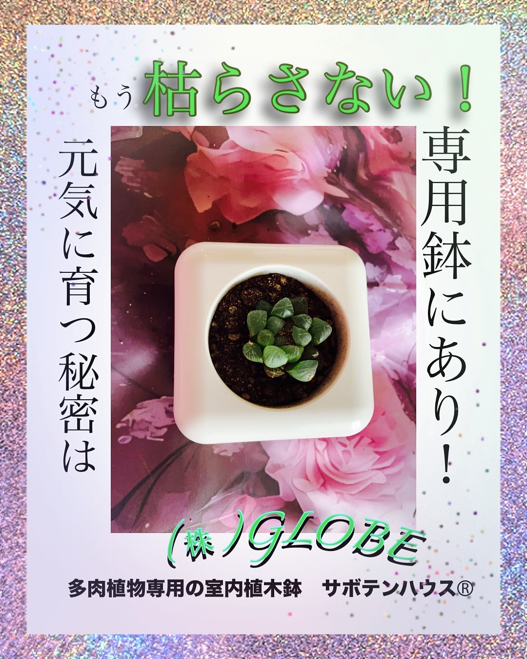 【PR】コエタスのモニターキャンペーンでいただいた［多肉植物専用の室内植木鉢サボテンハウスⓇ］をお試ししたレビューです✼
(@globe_horiuchi)

”もう枯らさない◎多肉植物が元気に育つ秘密は専用鉢にあり♡”

ちる『多肉植物大