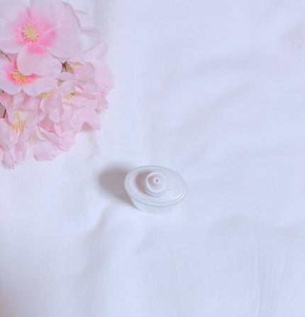 アネッサ デイセラム N/アネッサ/化粧下地を使ったクチコミ(2枚目)