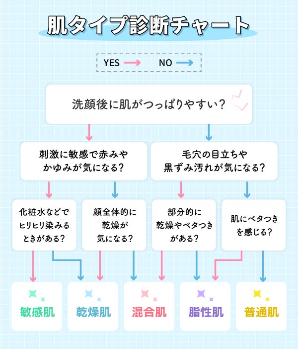 肌タイプ診断チャート
