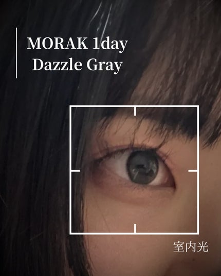 MOLAK 1day ダズルグレー/MOLAK/ワンデー(1DAY)カラコンを使ったクチコミ(1枚目)