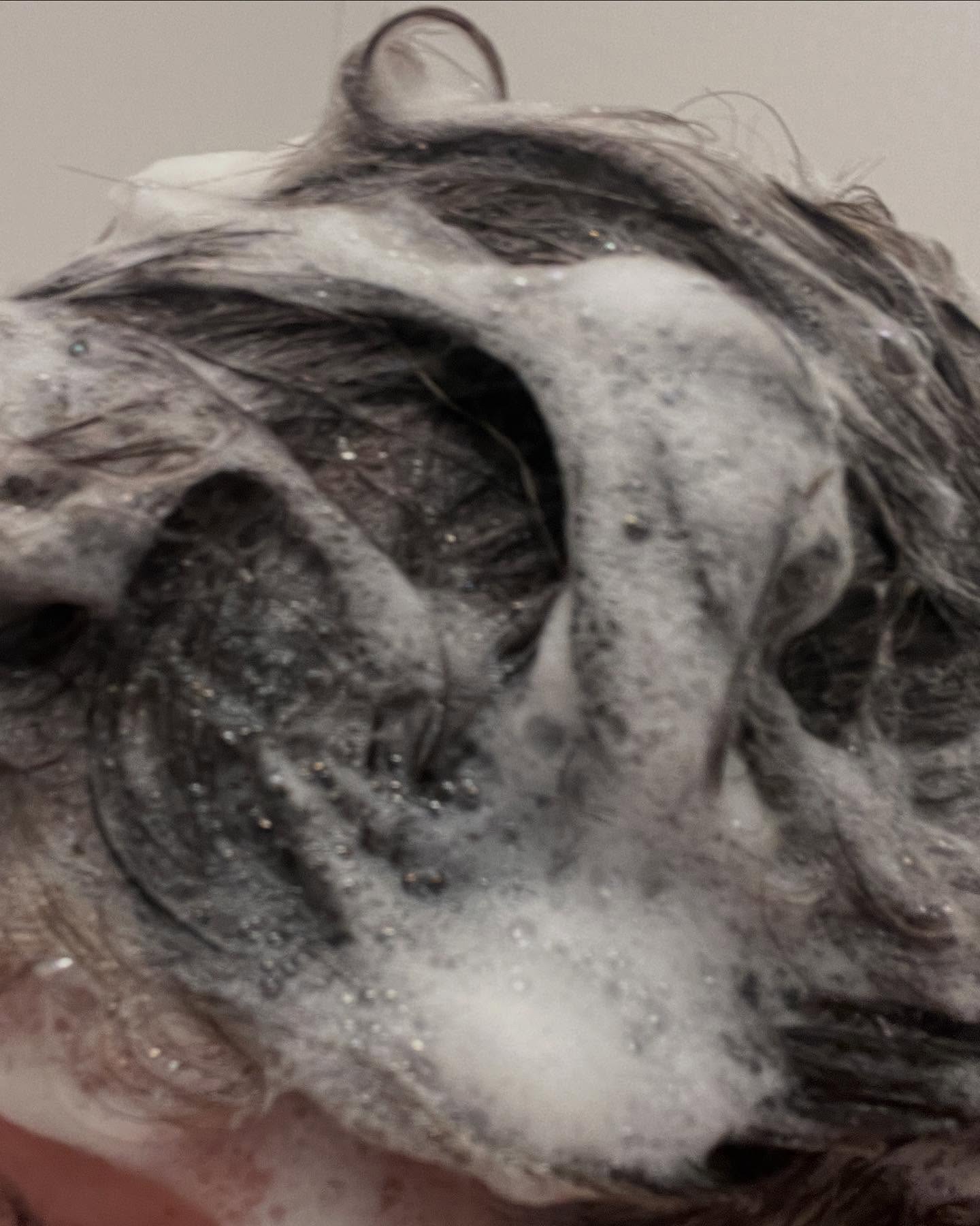 シャンプー/トリートメント パールシャイン(PS)/CLAYGE/市販シャンプーを使ったクチコミ（3枚目）