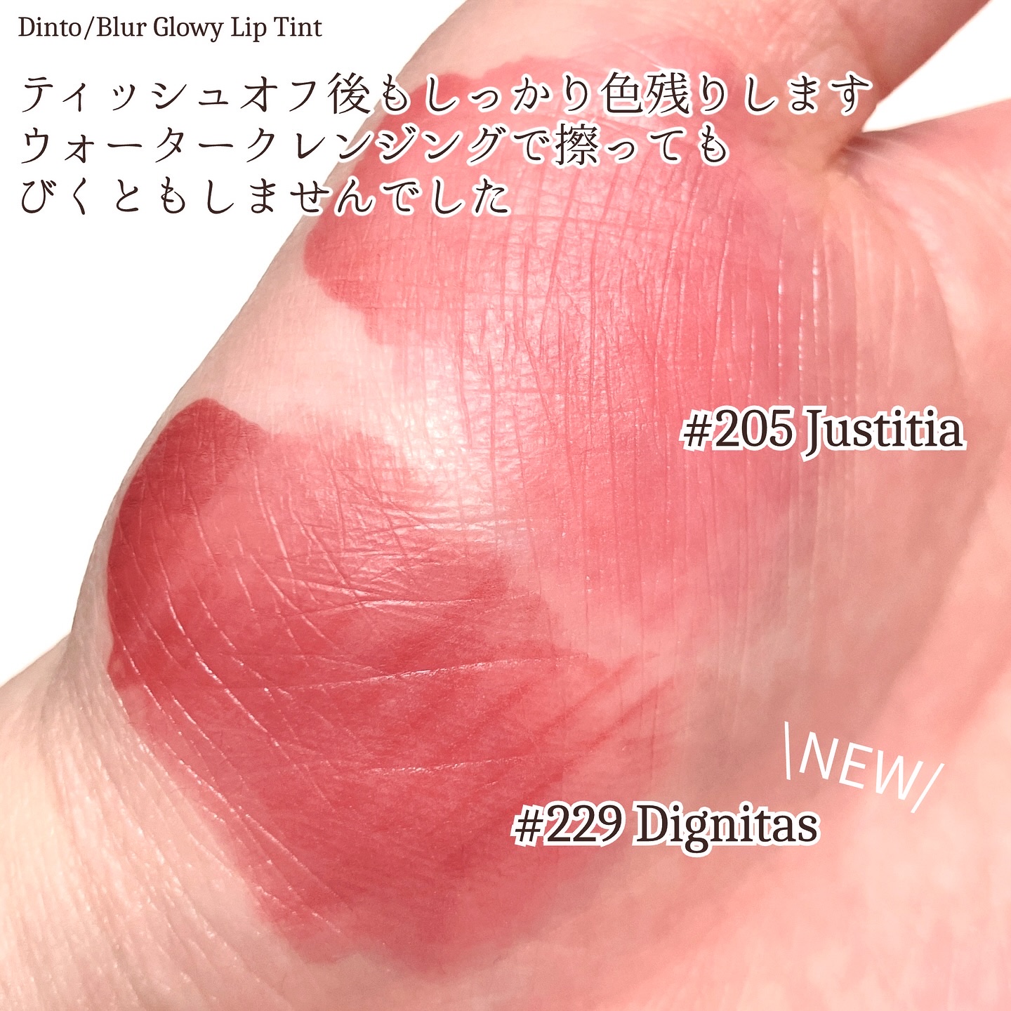 ブラーグロイリップティント/Dinto/リップティントを使ったクチコミ（3枚目）