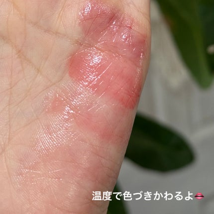 YNM レインボーハニーリップバーム/YNM/リップバームを使ったクチコミ(8枚目)