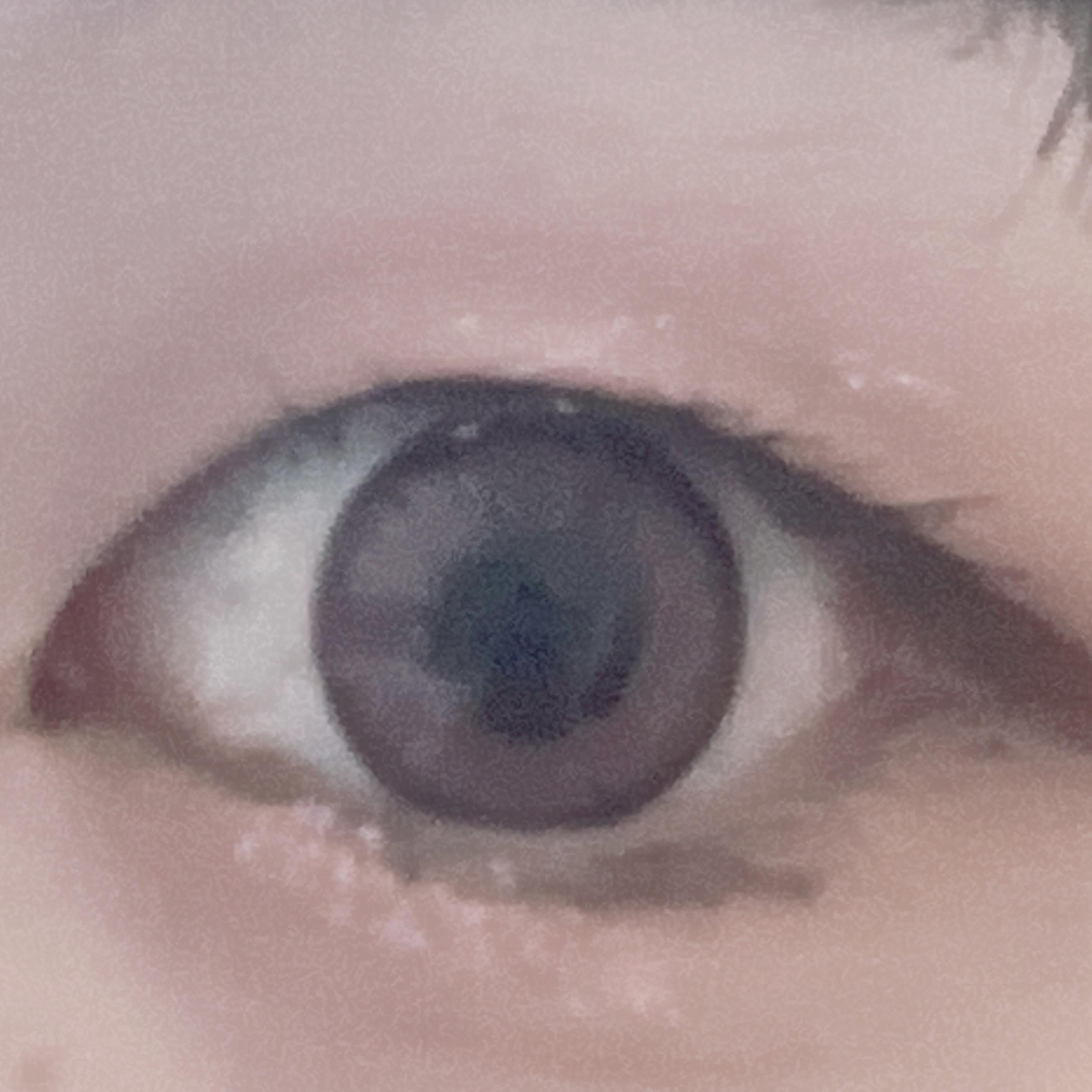 loveil 1day /loveil/ワンデー（１DAY）カラコンを使ったクチコミ（1枚目）