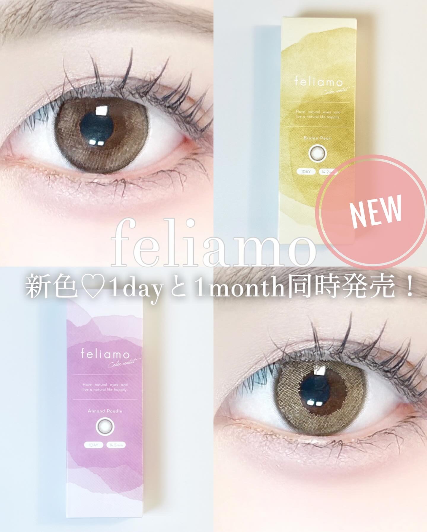 feliamo 1day/feliamo/ワンデー（１DAY）カラコンを使ったクチコミ（1枚目）