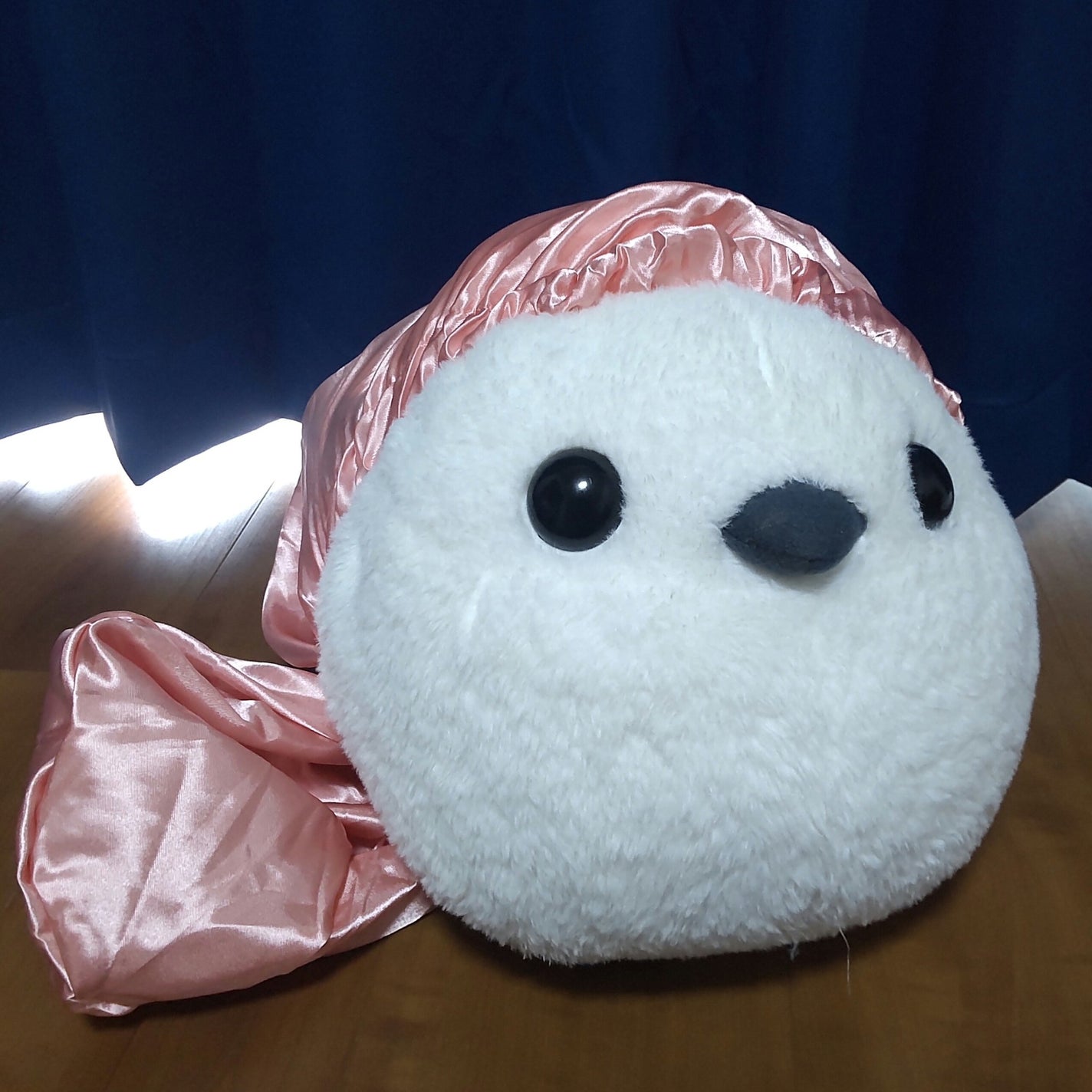 ナイトキャップ ロングタイプ/DAISO/ヘアケアグッズを使ったクチコミ(4枚目)