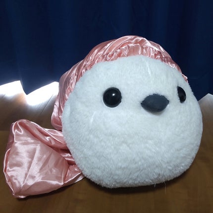 ナイトキャップ ロングタイプ/DAISO/ヘアケアグッズを使ったクチコミ(4枚目)