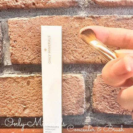 薬用コンシーラー アクネプロテクター/ONLY MINERALS/パウダーコンシーラーを使ったクチコミ(7枚目)