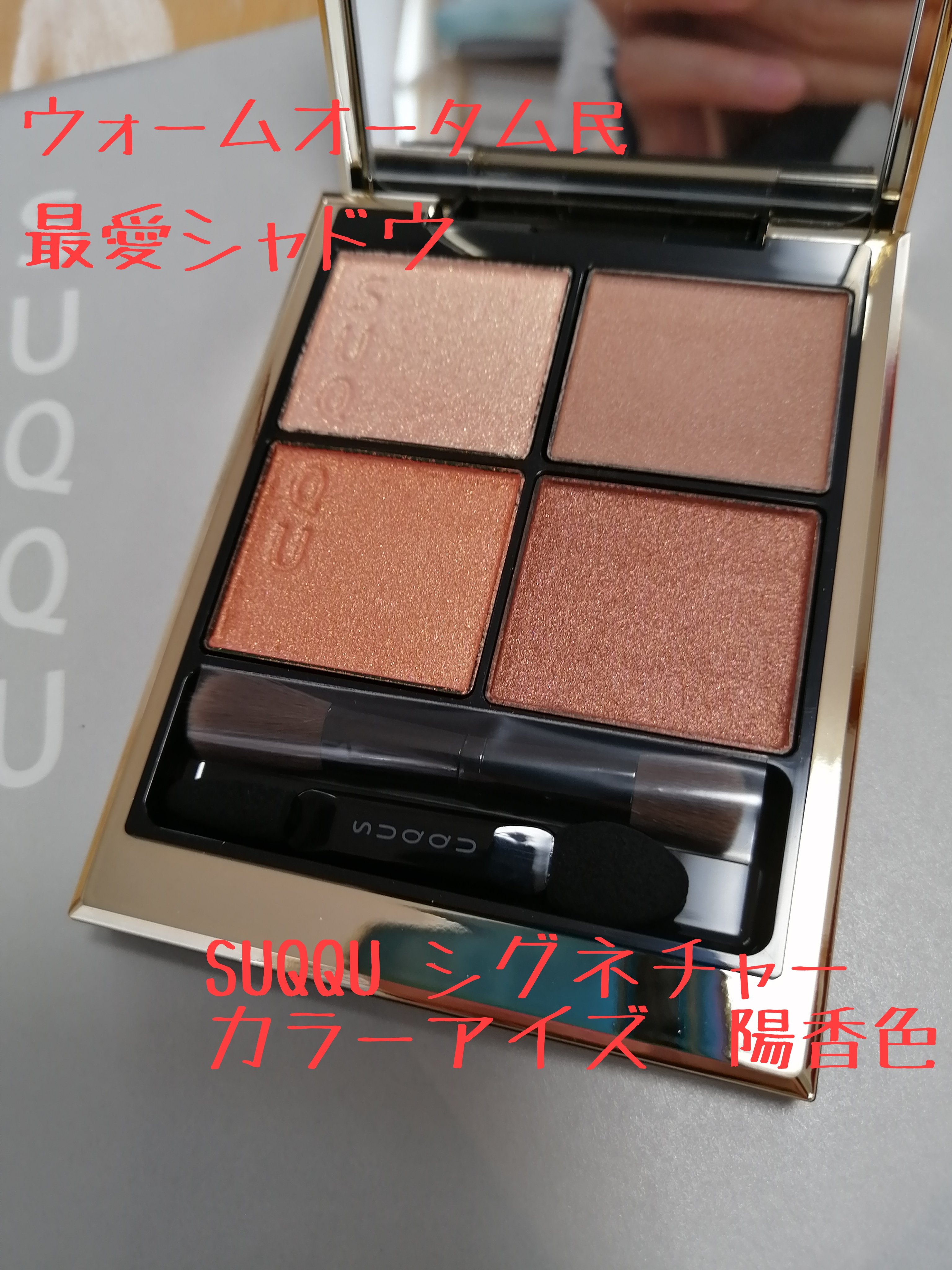 ディグニファイド リップス/Celvoke/口紅を使ったクチコミ（1枚目）