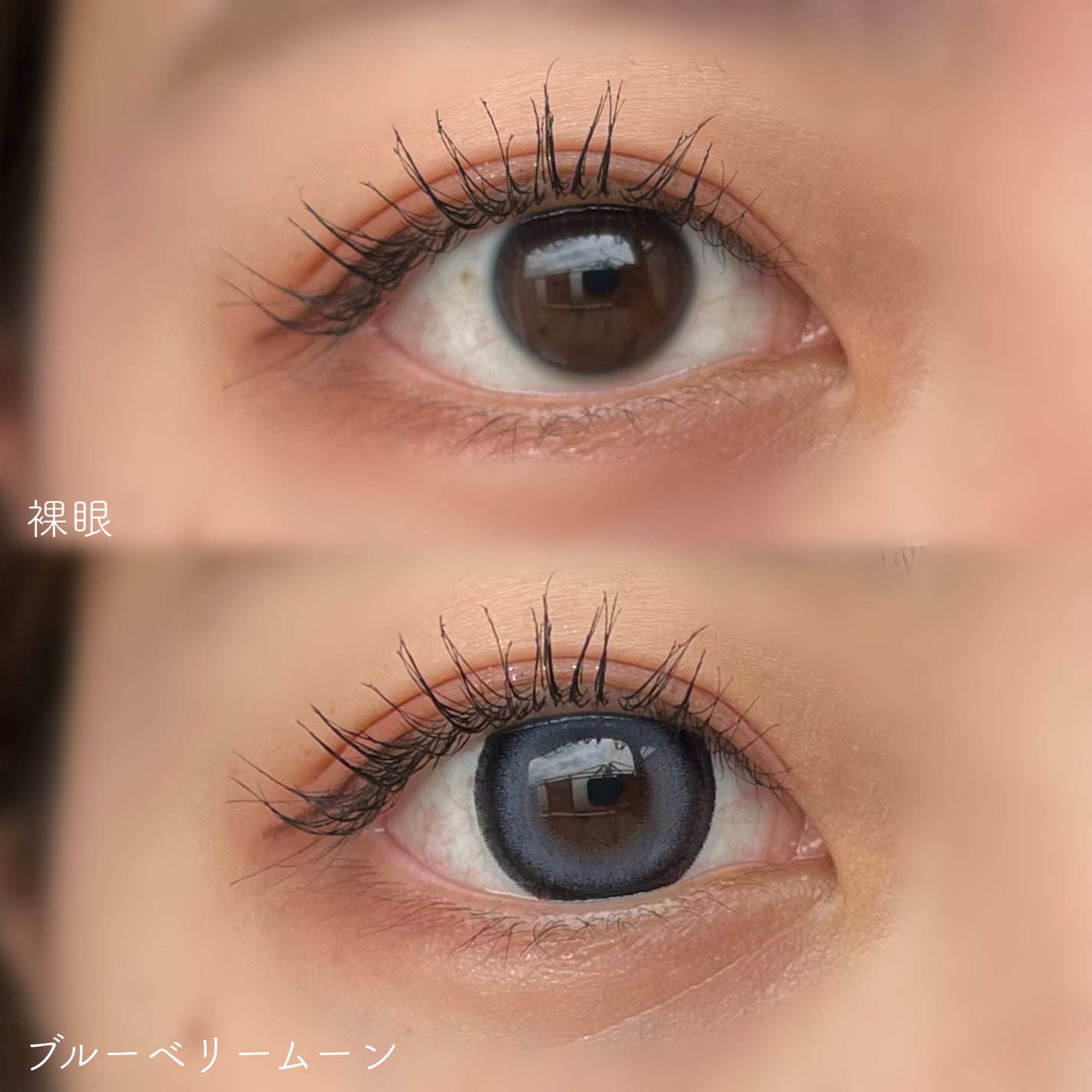 Angelcolor Bambi Series 1day /AngelColor/ワンデー(1DAY)カラコンを使ったクチコミ(7枚目)