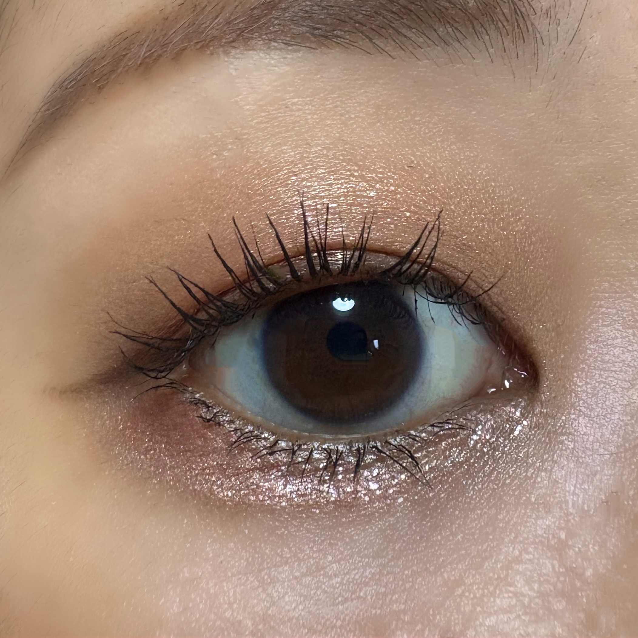 ウィンク アイ シマー ライト 02 ナウ バーント/Javin De Seoul/リキッドアイシャドウを使ったクチコミ（3枚目）