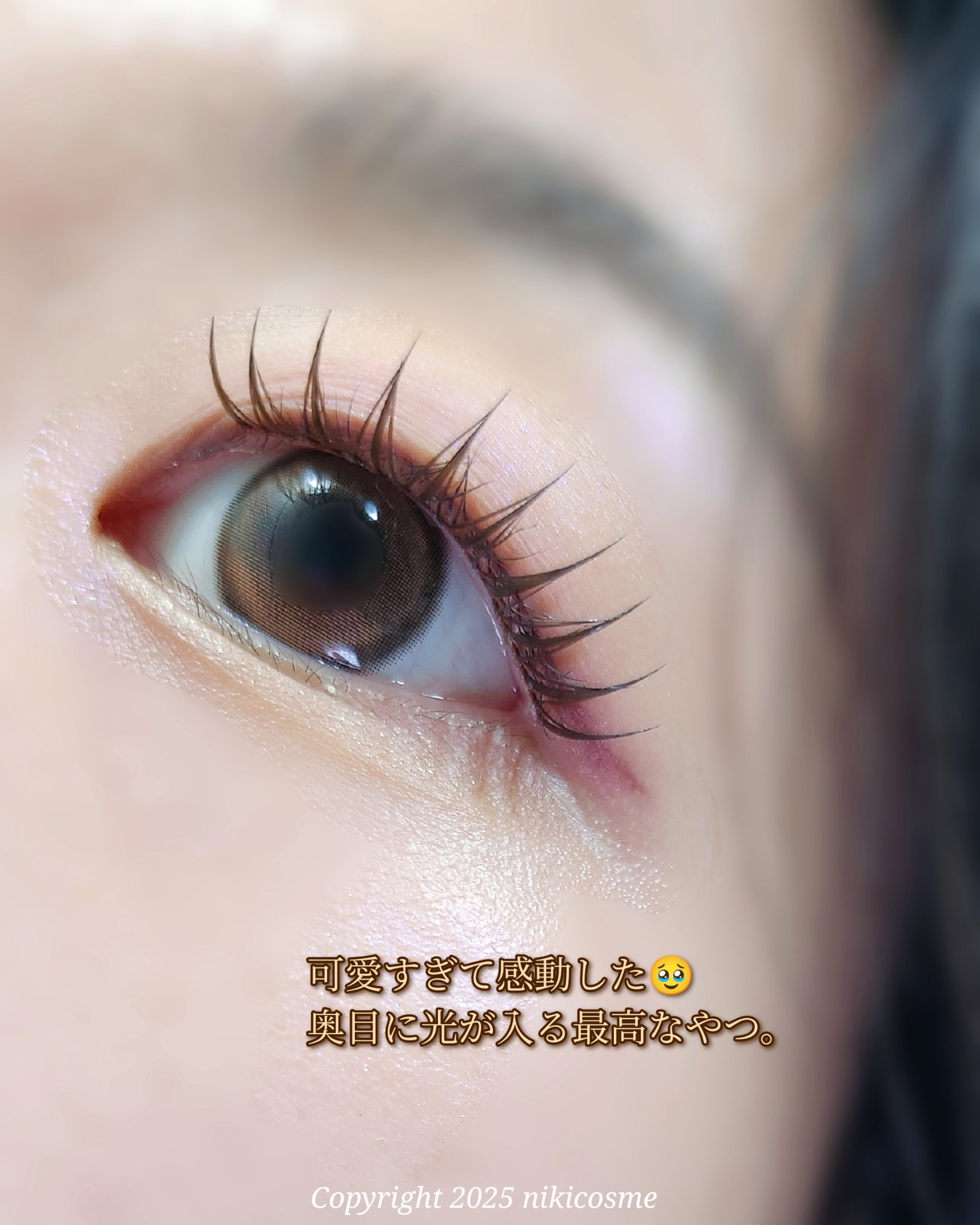 TOPARDS 1day ムーンメルトブラウン/TOPARDS/ワンデー（１DAY）カラコンを使ったクチコミ（2枚目）