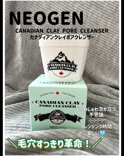 カナディアンクレイ ポア クレンザー/NEOGEN/洗い流すパック・マスクを使ったクチコミ(1枚目)