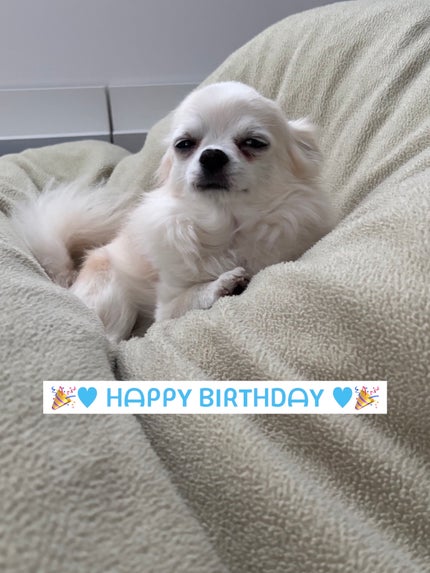 ネイル エナメル/ちふれ/マニキュアを使ったクチコミ(6枚目)