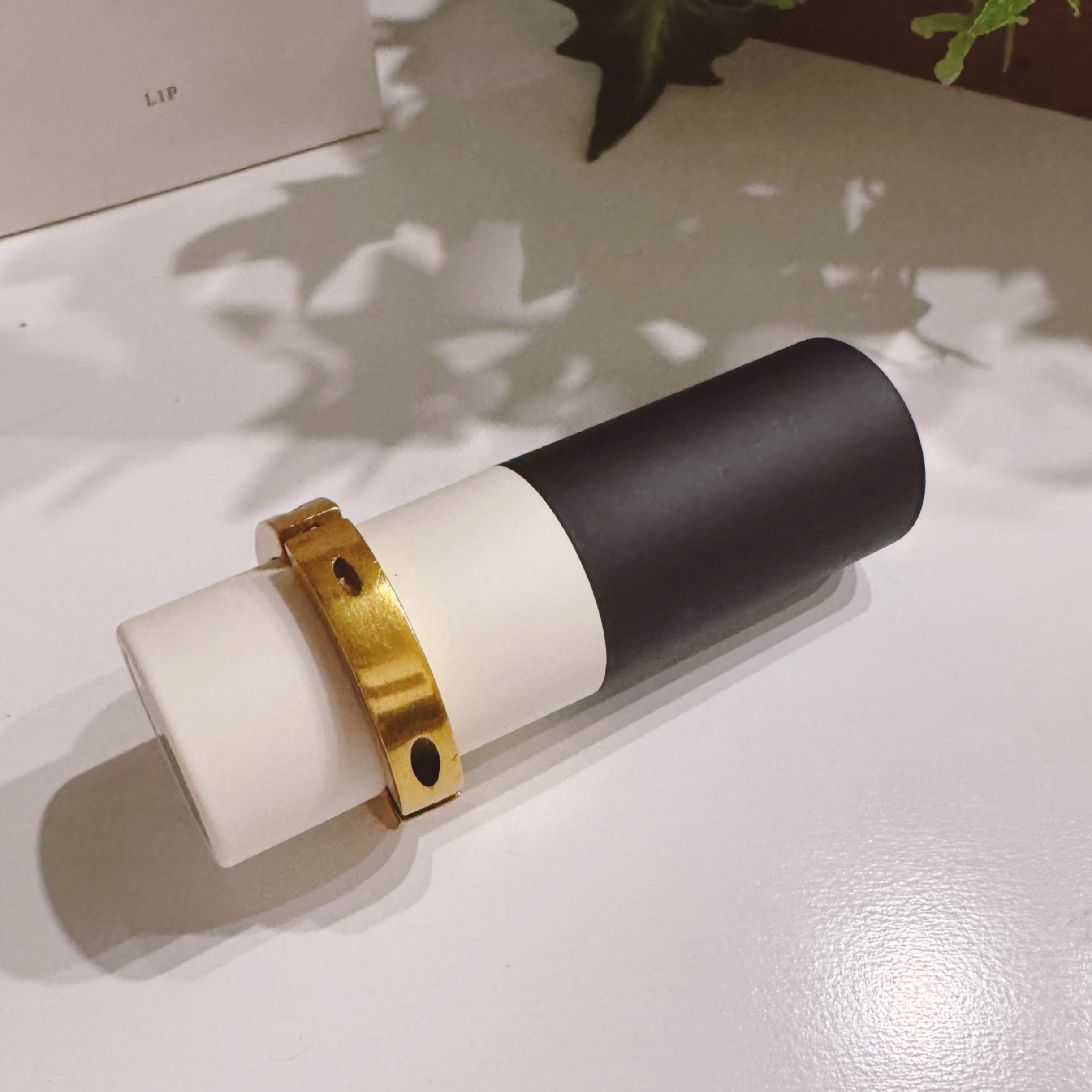 ザ リップ ネオ アニマ/アーレス/口紅を使ったクチコミ（3枚目）