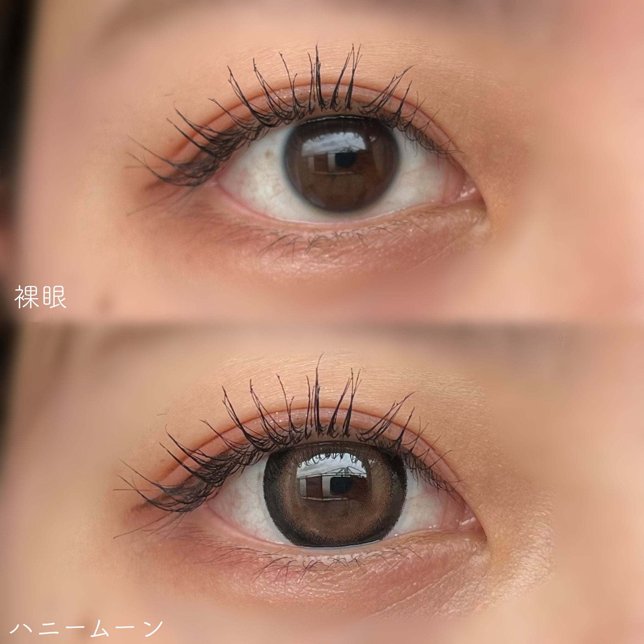 Angelcolor Bambi Series 1day /AngelColor/ワンデー（１DAY）カラコンを使ったクチコミ（3枚目）