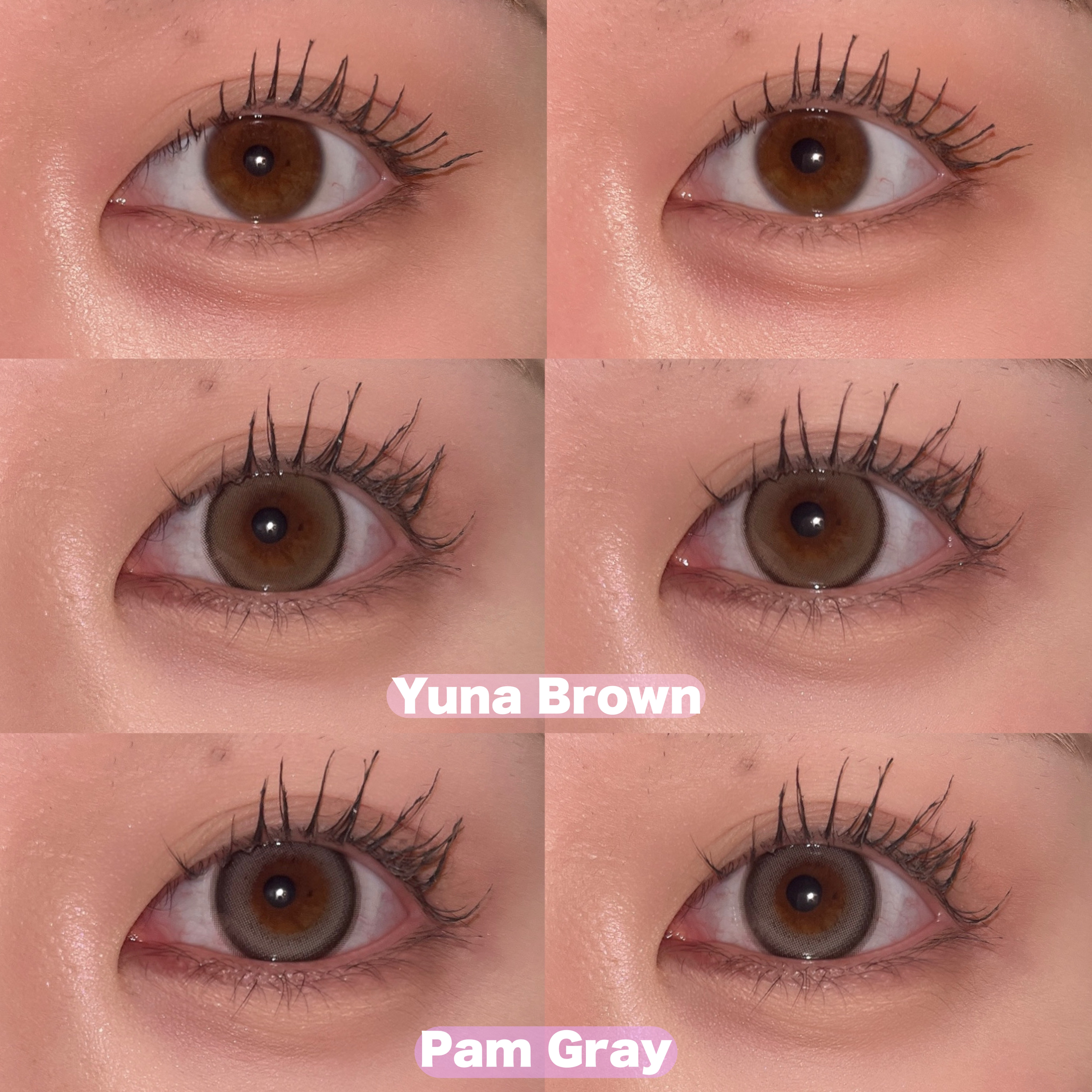 Mechu Mechu/Mechu Mechu /ワンデー（１DAY）カラコンを使ったクチコミ（3枚目）