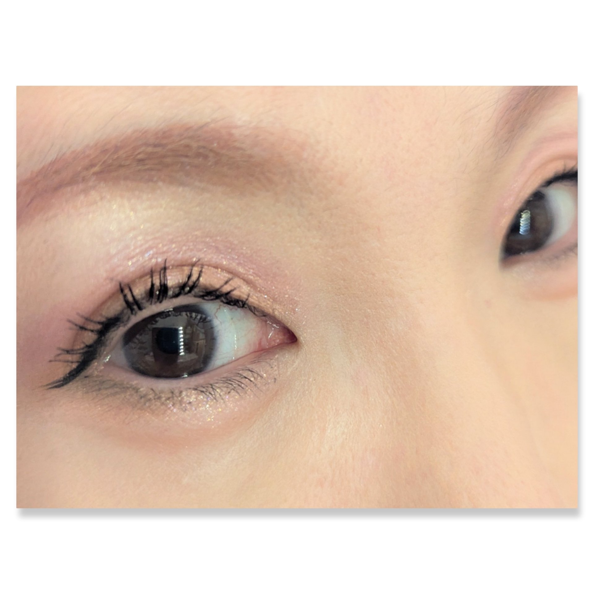 シャイニング12色ミニアイシャドウパレット/jill leen./アイシャドウパレットを使ったクチコミ（2枚目）