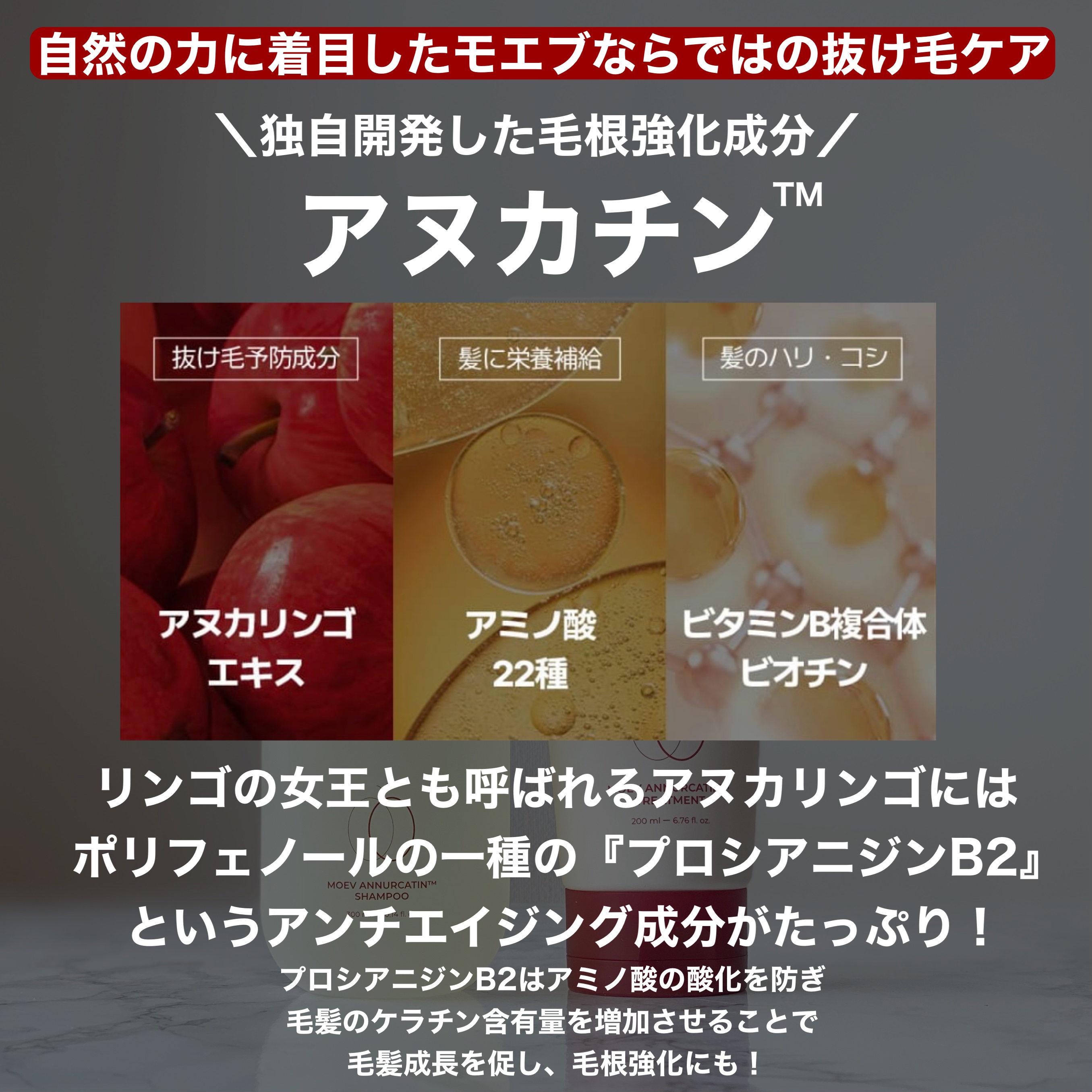 モエブ アヌカチン シャンプー/トリートメント/moev/市販シャンプーを使ったクチコミ（3枚目）