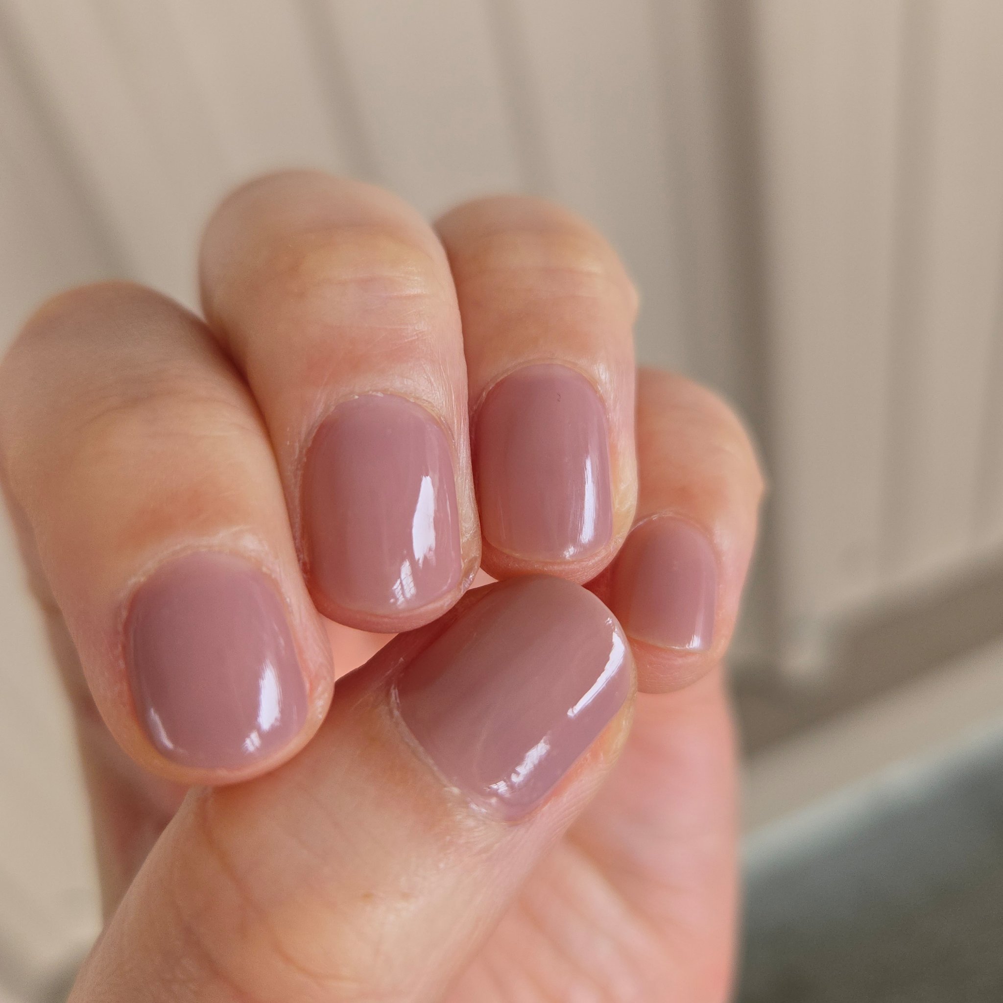 mood veil/ecnue/マニキュアを使ったクチコミ（1枚目）