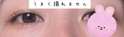 &. Wチャーム アイシャドウマットカラーマルチパレット/DAISO/アイシャドウパレットを使ったクチコミ(3枚目)