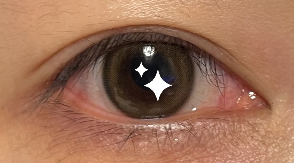 feliamo 1day ウーロンティー/feliamo/ワンデー（１DAY）カラコンを使ったクチコミ（1枚目）