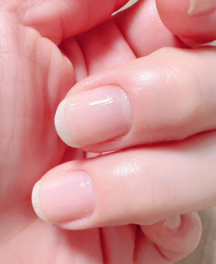 ã䜿ã£ãã¯ãã³ãïŒ3æç®ïŒ