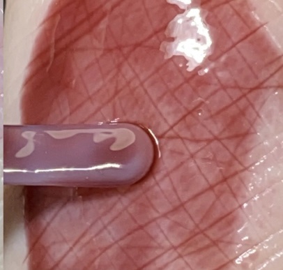 ジューシーベリープランピングリップオイル/TOCOBO/リップグロスを使ったクチコミ（2枚目）