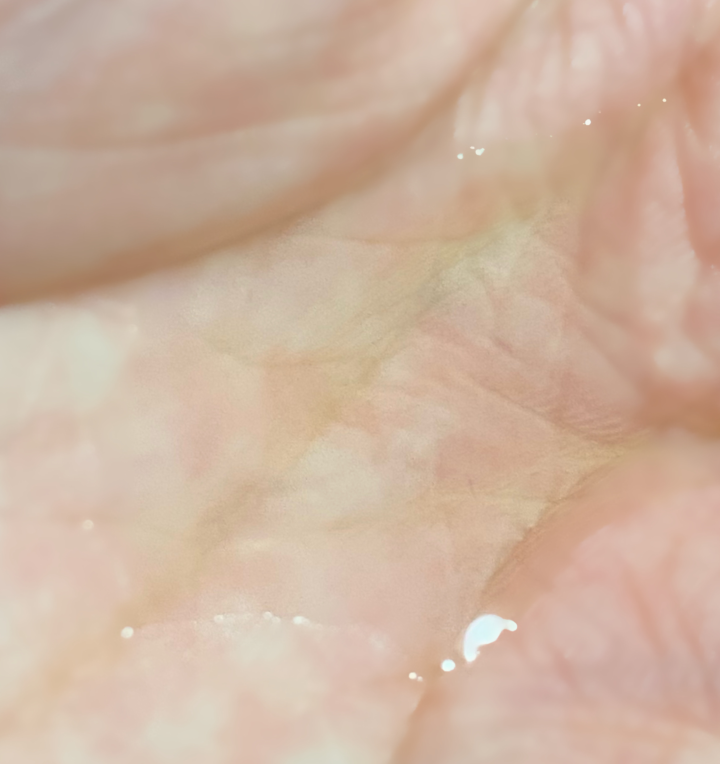 ルクエ コンク/ナリス化粧品/拭き取り化粧水を使ったクチコミ（2枚目）