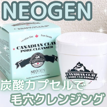 カナディアンクレイ ポア クレンザー/NEOGEN/洗い流すパック・マスクを使ったクチコミ(1枚目)