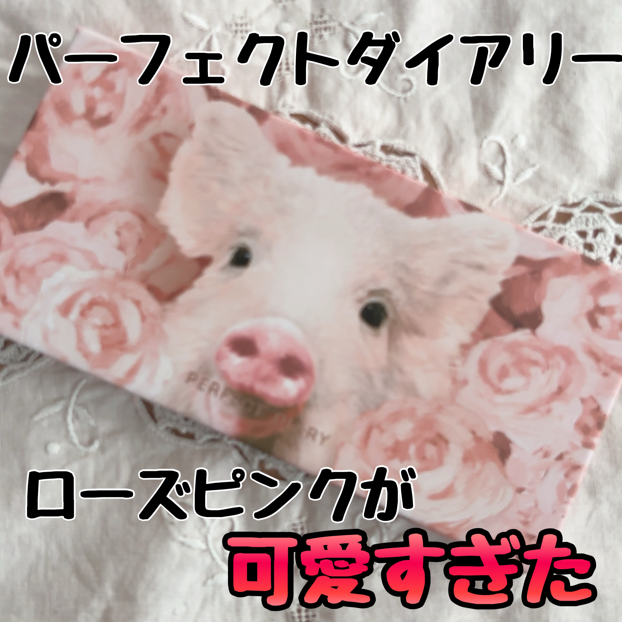 ロウグロウジェルティント/hince/リップティントを使ったクチコミ（1枚目）