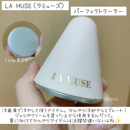 パーフェクトクーラー/ラミューズ/その他スキンケアグッズを使ったクチコミ(6枚目)