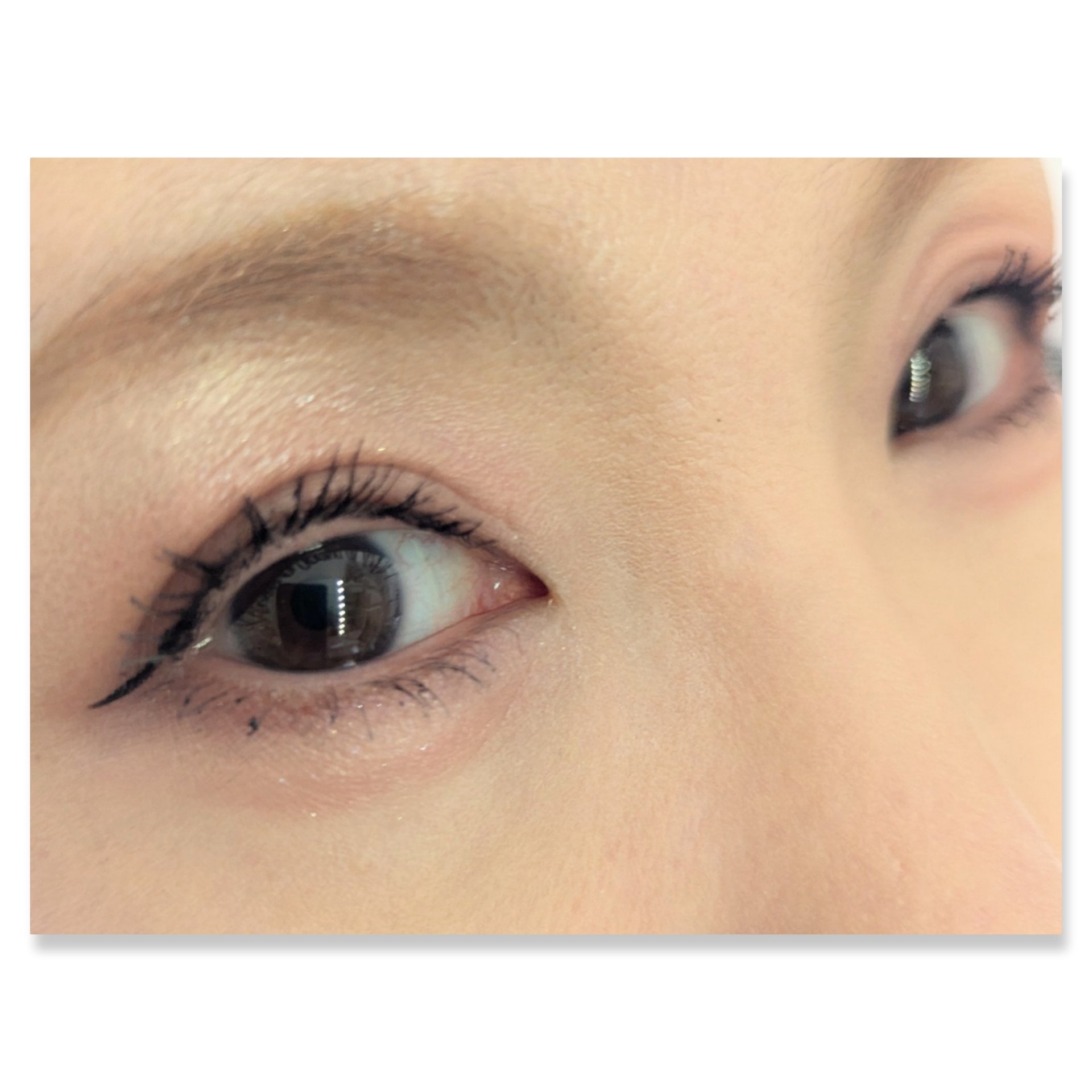 バーチャルアイズメイカー/KATE/アイシャドウパレットを使ったクチコミ（2枚目）