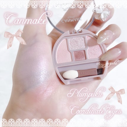 プランぷくコーデアイズ/キャンメイク/パウダーアイシャドウを使ったクチコミ(1枚目)