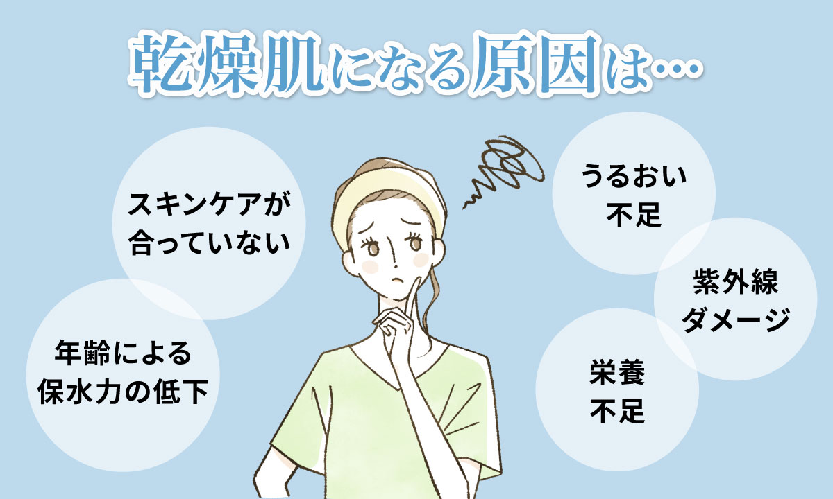 乾燥肌になる原因はスキンケアが合っていない・うるおい不足・紫外線ダメージ・年齢による保水力の低下・栄養不足。