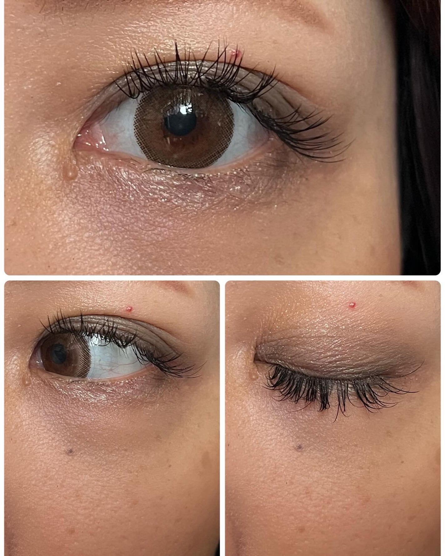 エバーカラーワンデー ナチュラル/エバーカラー/ワンデー(1DAY)カラコンを使ったクチコミ(5枚目)