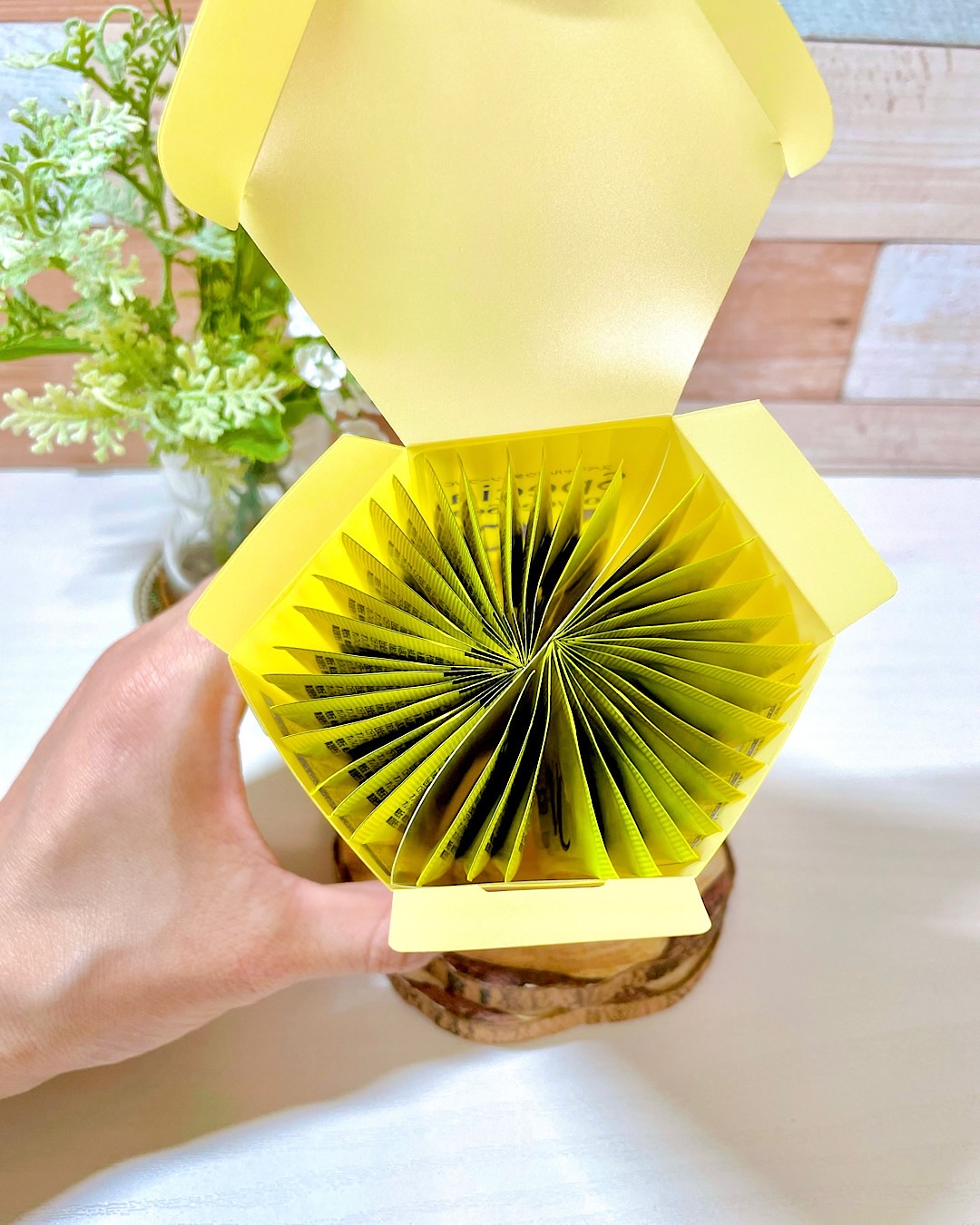 スペシャルパウダーソープＶＣ/Cure/洗顔パウダーを使ったクチコミ（3枚目）