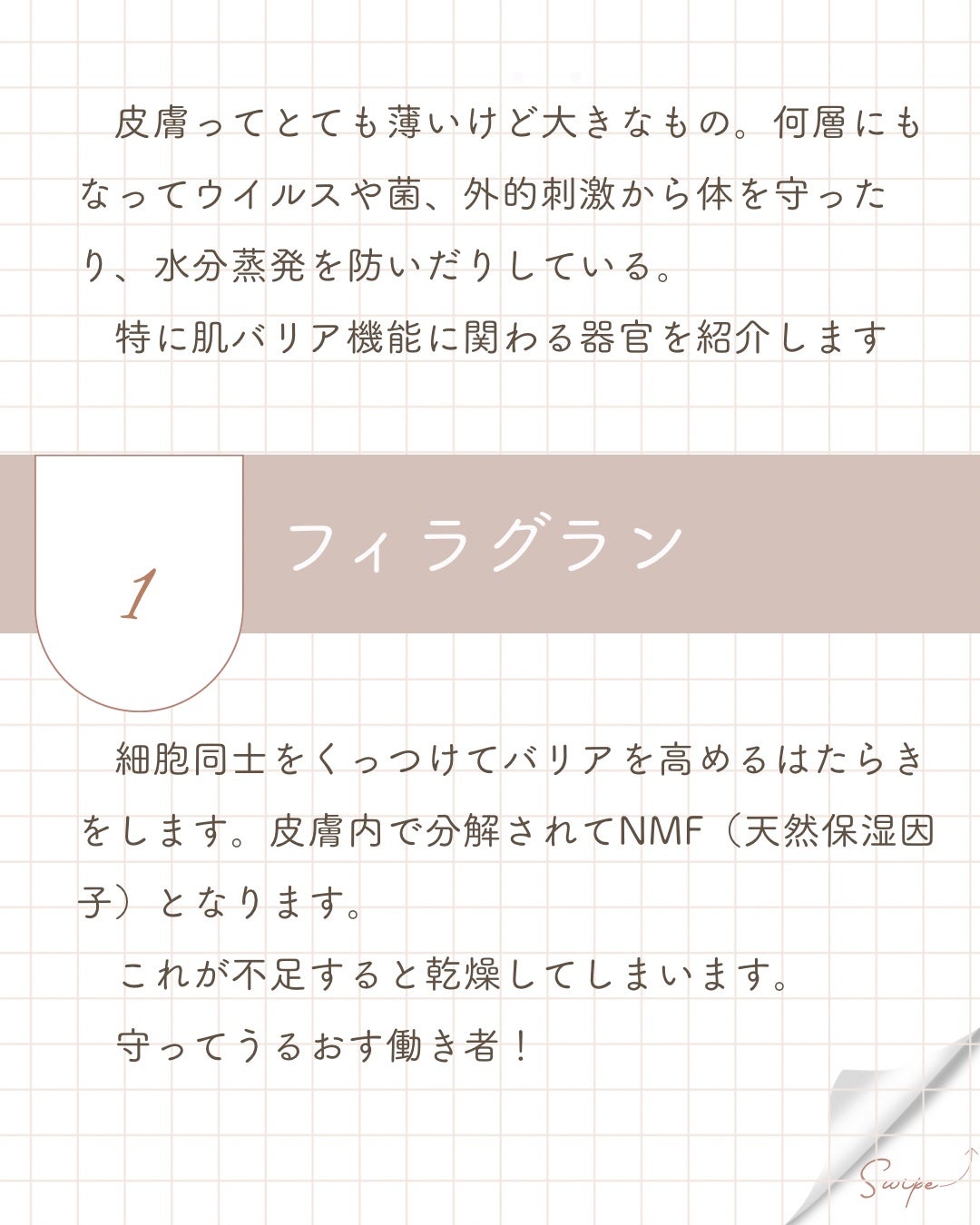 elan_lotus on LIPS 「肌バリアに関わる器官 皮膚ってとても薄いけど大きなもの。何層に..」(2枚目)