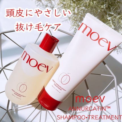 モエブ アヌカチン シャンプー/トリートメント/moev/市販シャンプーを使ったクチコミ(1枚目)