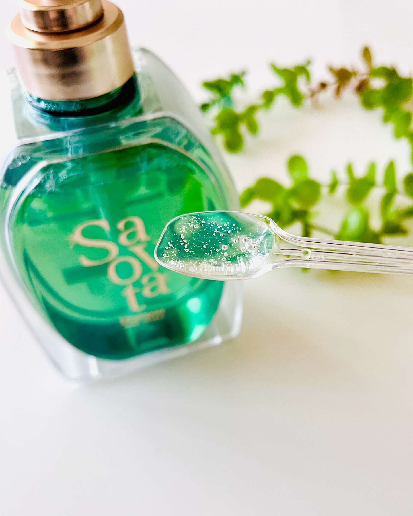 サボンドサボタ　モイストプランプシャンプー/ヘアトリートメント/Savon du Savota/シャンプー・コンディショナーを使ったクチコミ（2枚目）