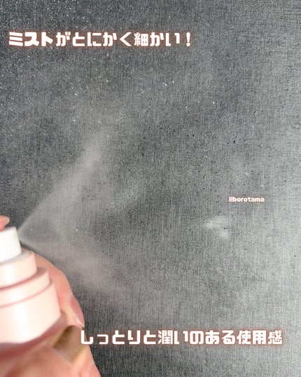 シンデレラパウダリーミスト キープ+/MilleFée/フィックスミストを使ったクチコミ(5枚目)