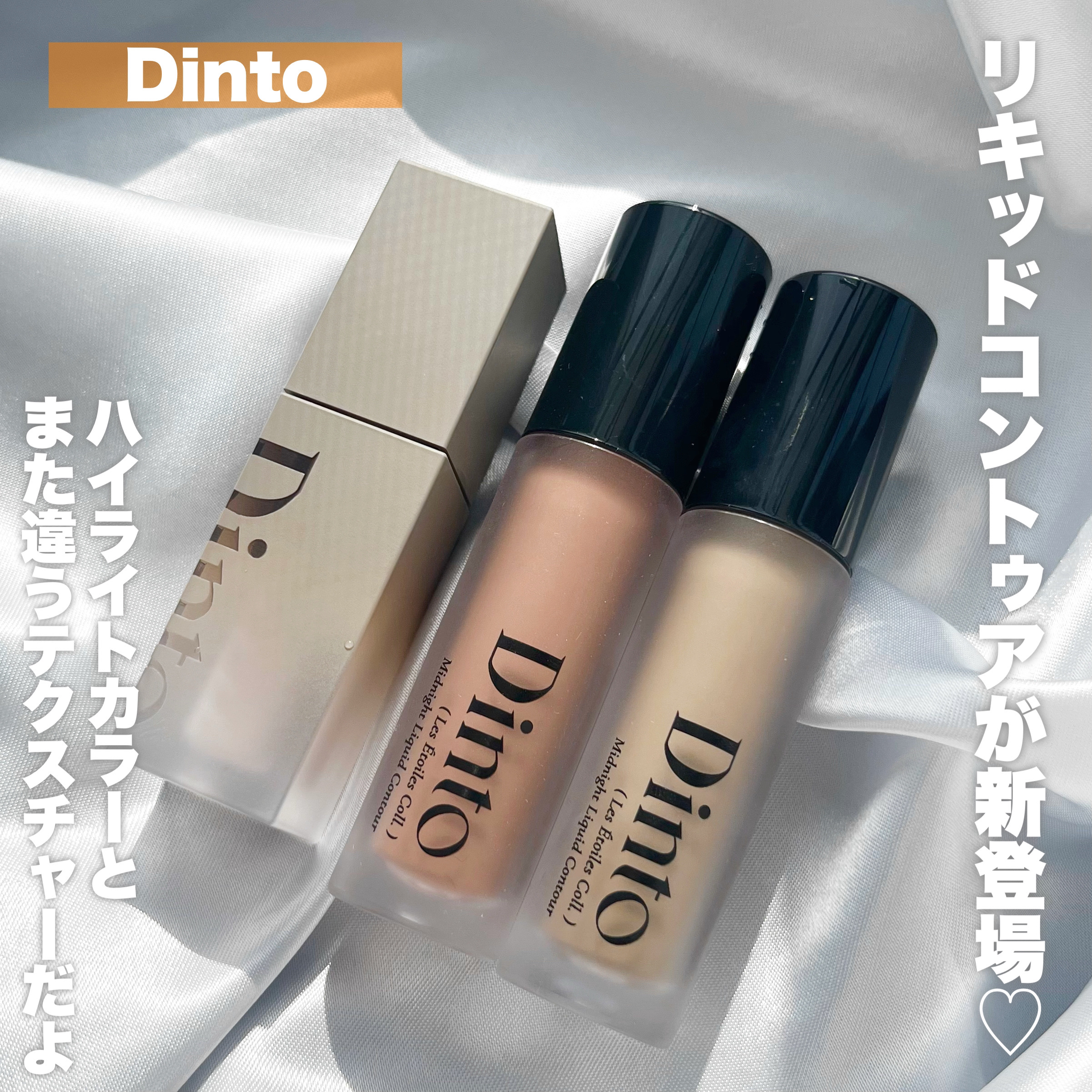 レ・ゼトワール ミッドナイト リキッド コントゥア/Dinto/シェーディングを使ったクチコミ（1枚目）